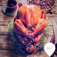 fr_bronze_turkey