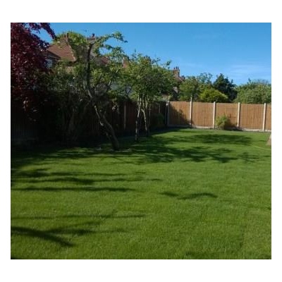 Premium Garden Turf